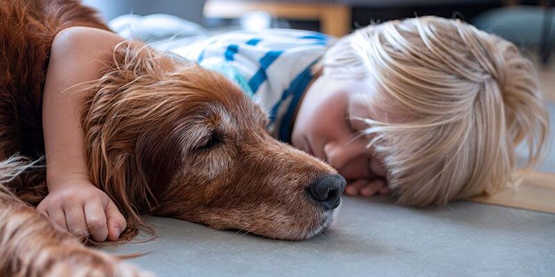 Young Boy Laying With Old Dog